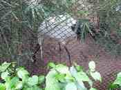 HongKong mei 2008 021.jpg